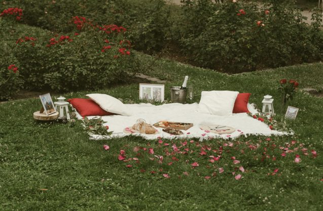 Romantic picnic setup with white blanket, red and white pillows, and rose petals on the grass, prepared for a marriage proposal on Margaret Island.