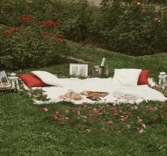 Romantic picnic setup with white blanket, red and white pillows, and rose petals on the grass, prepared for a marriage proposal on Margaret Island.