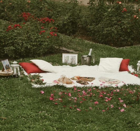 Romantic picnic setup with white blanket, red and white pillows, and rose petals on the grass, prepared for a marriage proposal on Margaret Island.